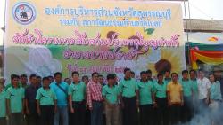 ภาพ..โครงการสืบสานประเพณีบุญกำฟ้า ประจำปี ๒๕๕๖  เมื่อวันที่    ๑๓ กุมภาพันธ์ ๒๕๕๖ ณ วัดดอนขาด ตำบลวัดโบสถ์ อำเภอบางปลาม้า