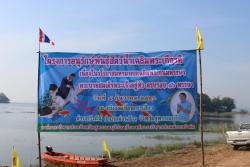 ภาพ..โครงการอนุรักษ์พันธุ์สัตว์น้ำเฉลิมพระเกียรติ เนื่องในวโรกาสมหามงคลเฉลิมพระชนมพรรษา พระบาทสมเด็จพระเจ้าอยู่หัว ครบรอบ ๘๖ พรรษา  เมื่อวันที่ ๔ ธันวาคม ๒๕๕๖ ณ บริเวณบึงลำควง , บริเวณเขื่อนกระเสียว และบริเวณคุ้มขุนแผน  
